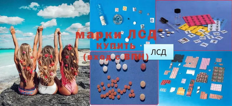 blacksprut рабочий сайт  Аргун  Лсд 25 экстази ecstasy  где продают  