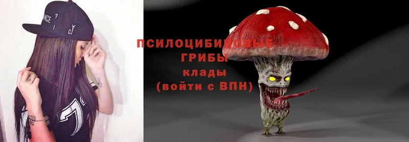 MEGA как зайти  Аргун  Псилоцибиновые грибы MAGIC MUSHROOMS 