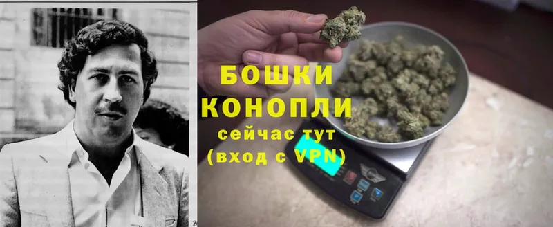 Шишки марихуана White Widow  сколько стоит  kraken зеркало  Аргун 